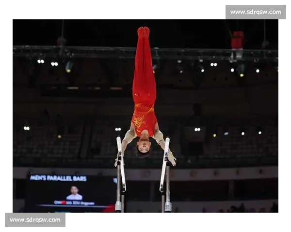 邹敬园世锦赛双杠四冠王 15.300 分创历史